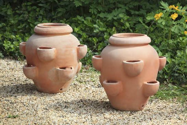Campania International Terra cotta Tascandi Strawberry Jar Urn/Planter Campania International